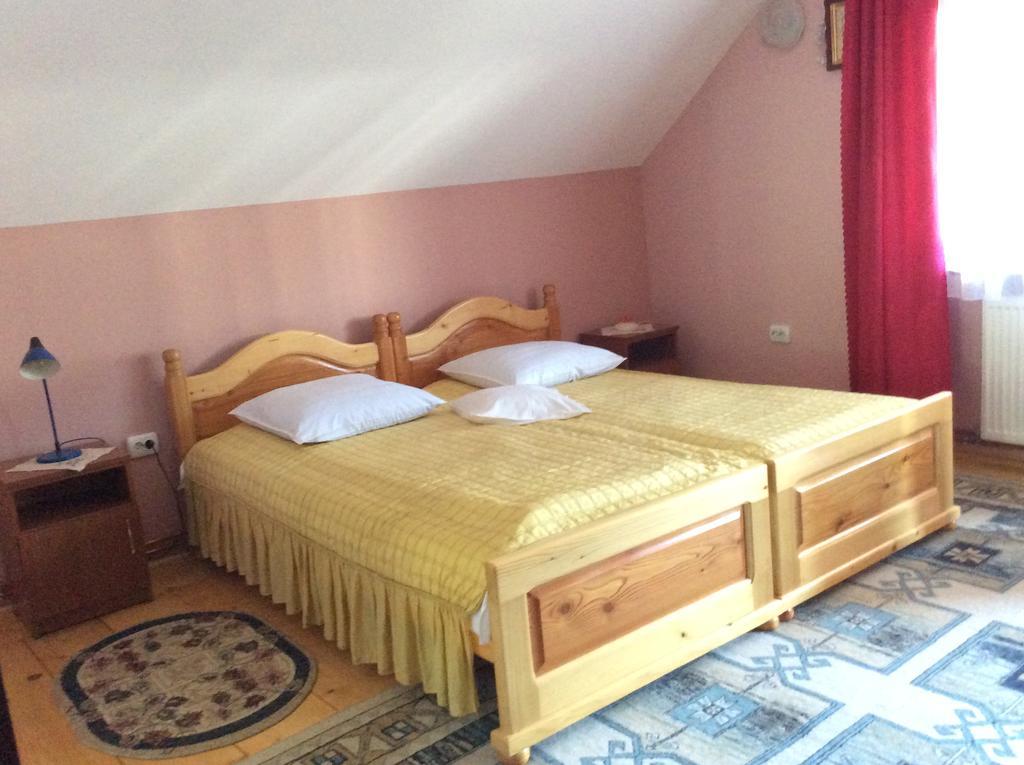 Casa Andrada & Ilinca Hotel Gura Humorului Ngoại thất bức ảnh