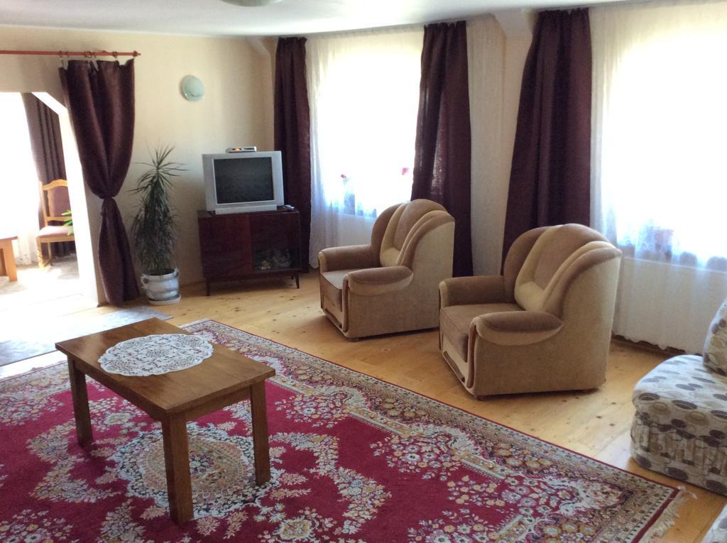 Casa Andrada & Ilinca Hotel Gura Humorului Ngoại thất bức ảnh