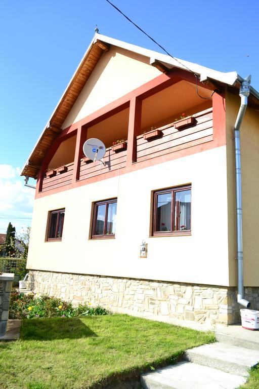 Casa Andrada & Ilinca Hotel Gura Humorului Ngoại thất bức ảnh
