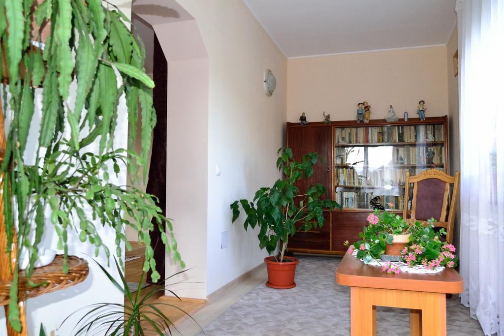 Casa Andrada & Ilinca Hotel Gura Humorului Ngoại thất bức ảnh
