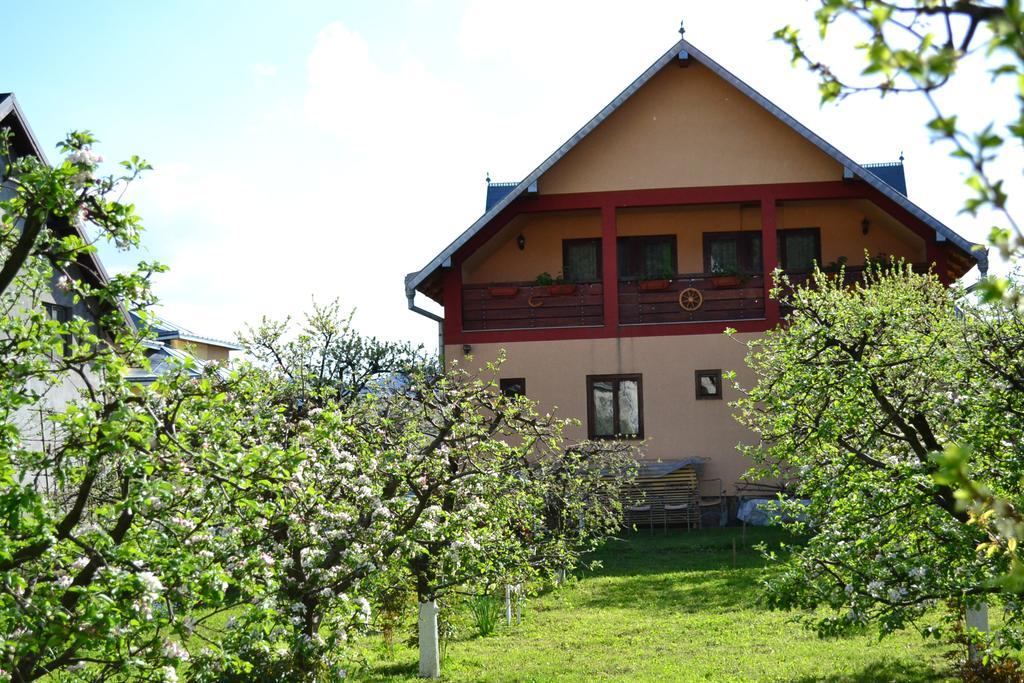 Casa Andrada & Ilinca Hotel Gura Humorului Ngoại thất bức ảnh